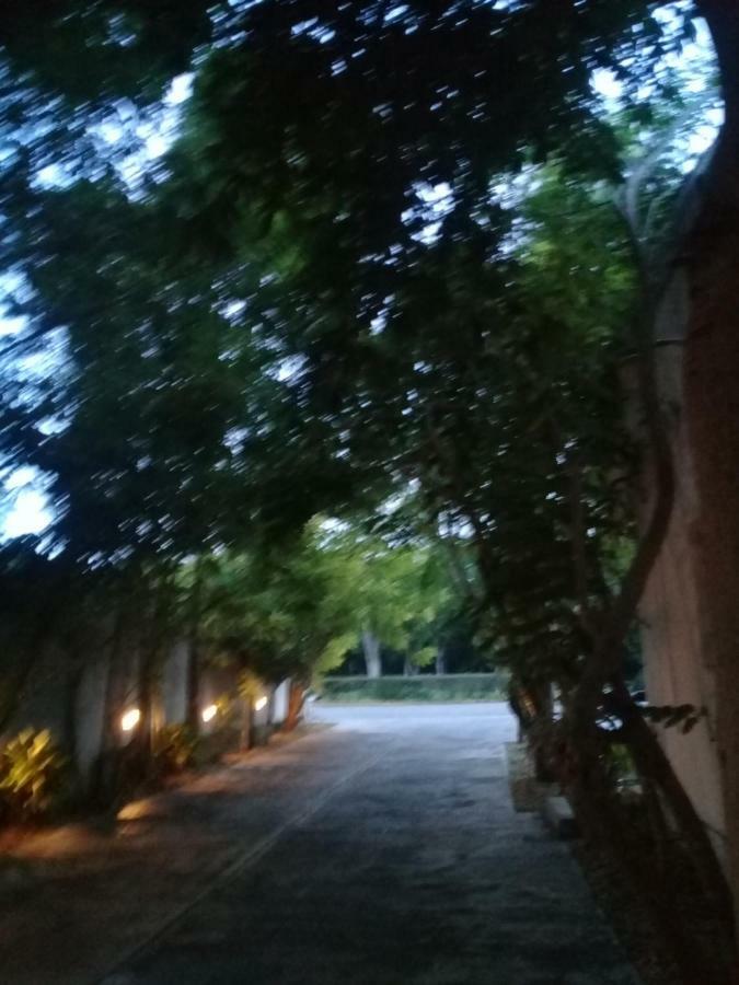 Hotel 41 Valladolid מראה חיצוני תמונה